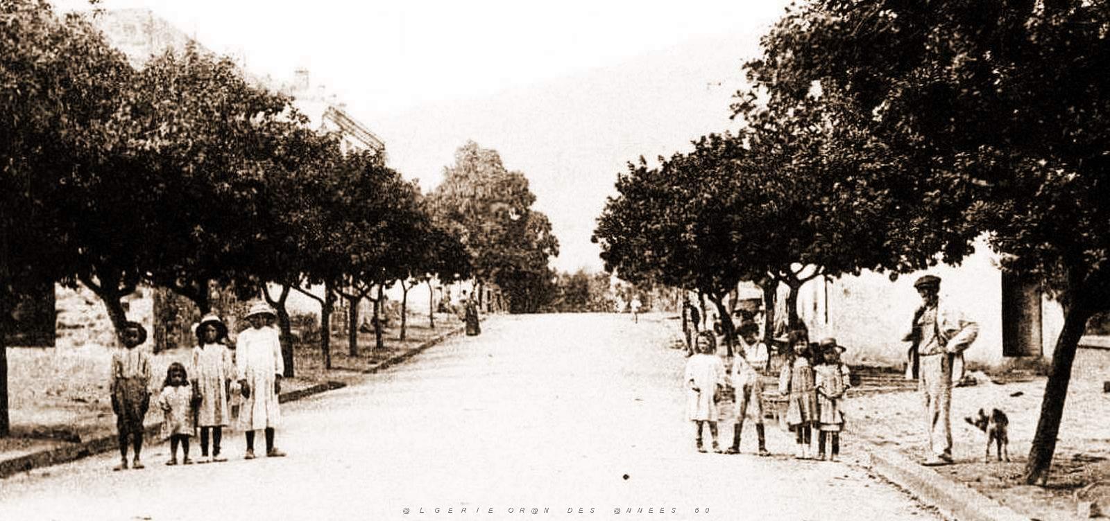 1463- Dupleix - Rue2 de Tenes.jpg